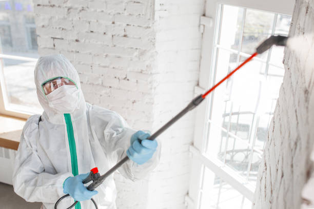 Best Dehumidification Services  in Broken Bow, NE