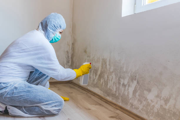 Best Post-Construction Mold Inspection  in Broken Bow, NE