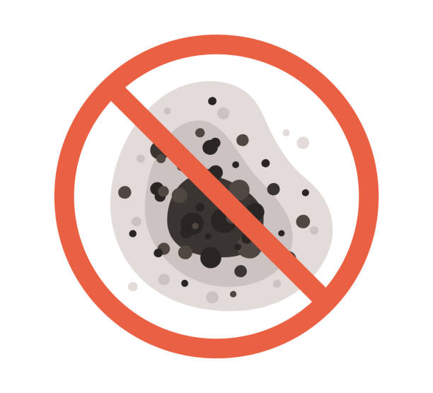 Reliable Broken Bow, NE Mold Removal Solutions